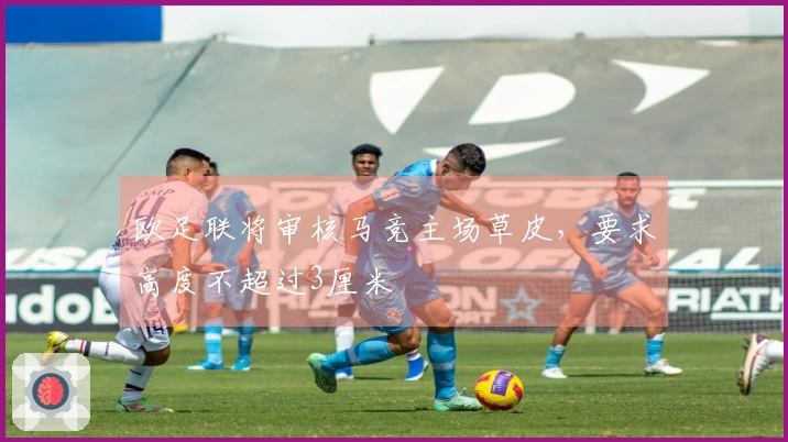 欧足联将审核马竞主场草皮，要求高度不超过3厘米