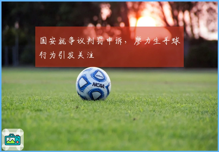 国安就争议判罚申诉，廖力生手球行为引发关注